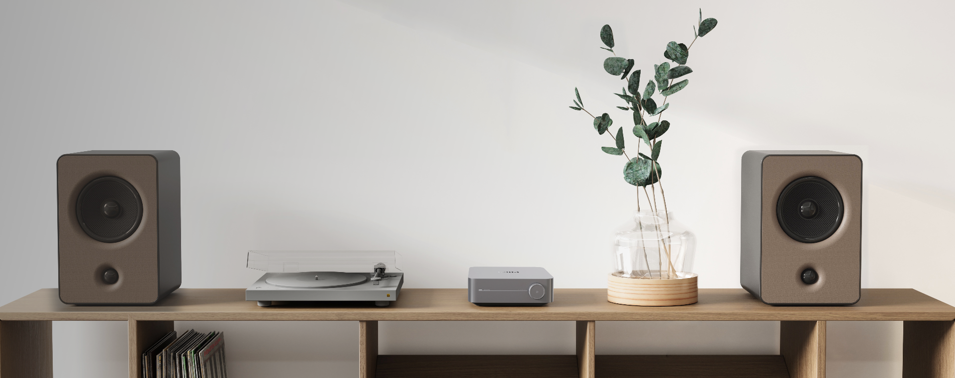 Wiim Amp