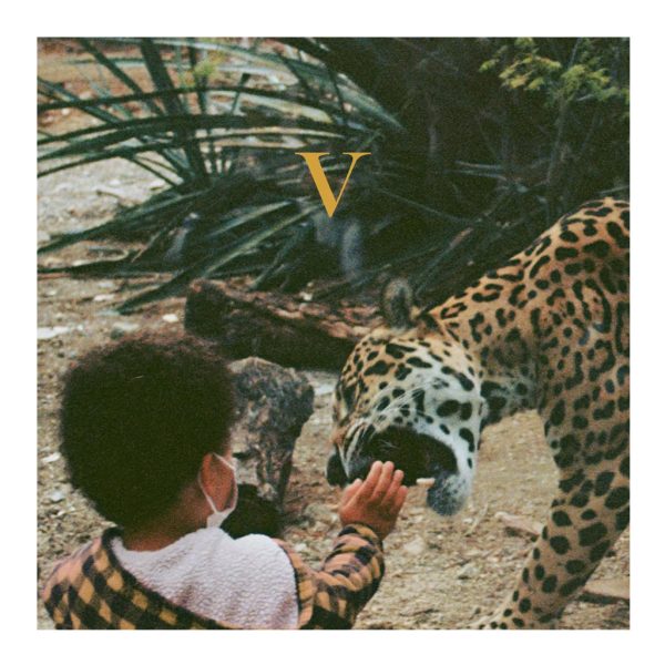 Album art for V by Unknown Mortal Orchestra
